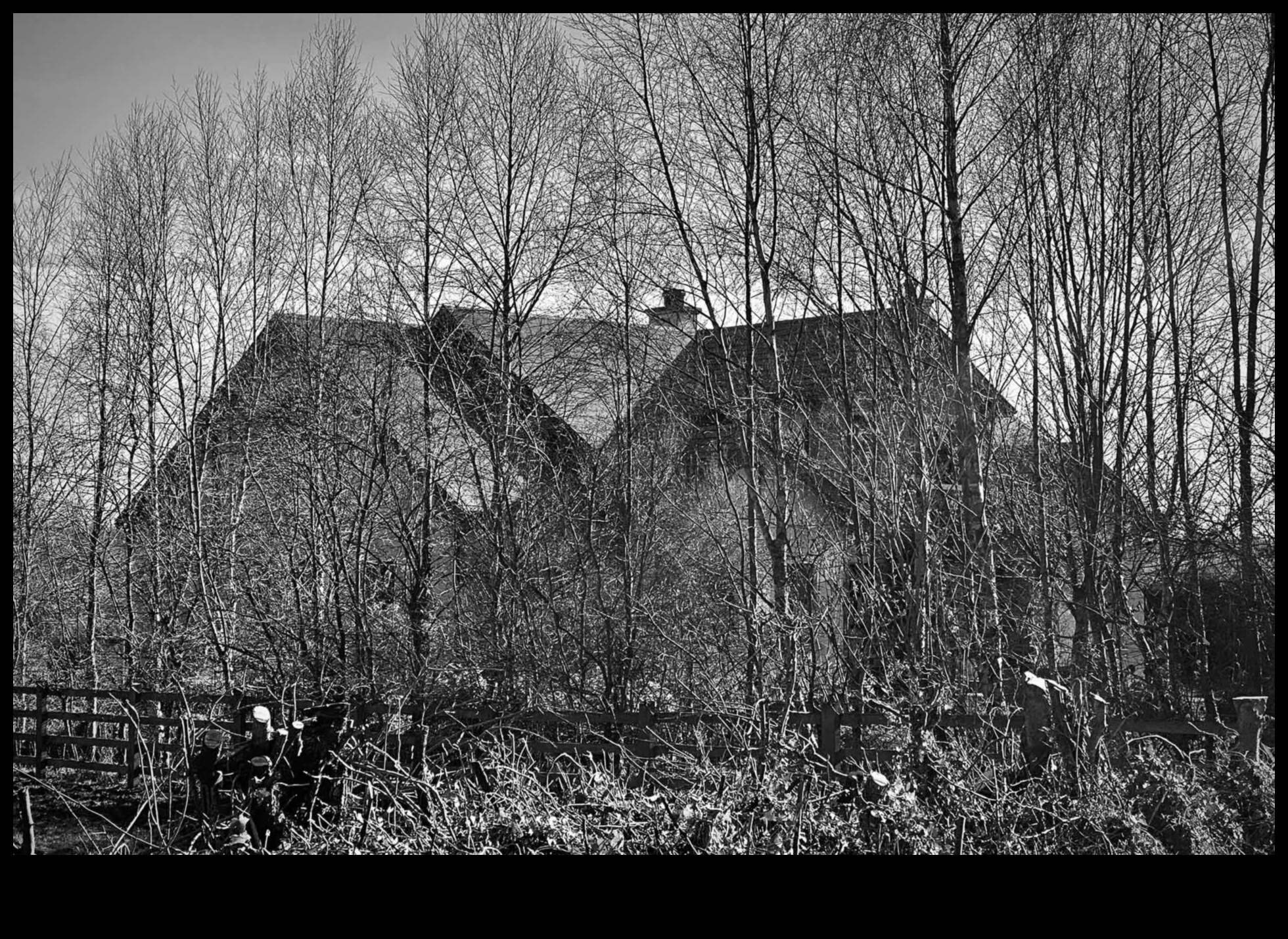 Reālisms melnbaltā krāsā: vienkrāsains mūžīgais spēks