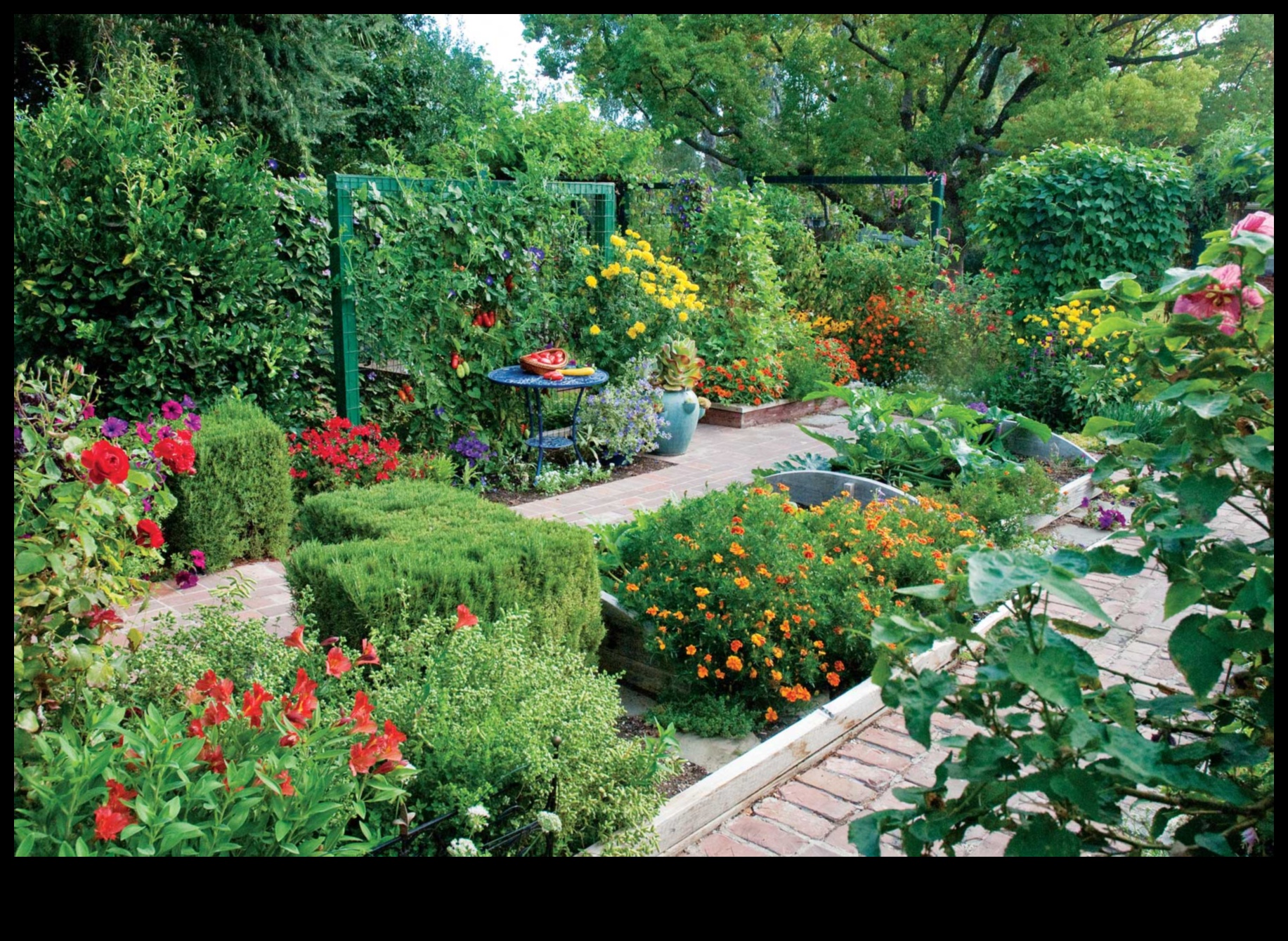 Lapu draugi uzlabo jūsu dārza skaistumu ar pavadošo stādīšanu 5 Lapu draugi: skaistuma paaugstināšana ar pavadošo stādīšanu