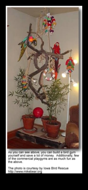 Papagaiļu rotaļu pils veido bagātinošu rotaļu laukumu putniem 5 Papagaiļu rotaļu pils: izveidojiet bagātinošu rotaļu laukumu putniem