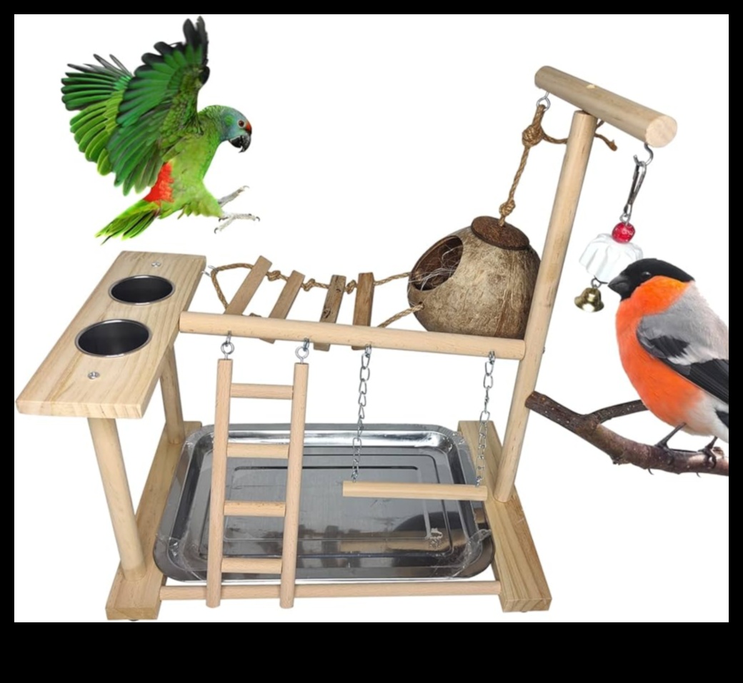 Papagaiļu rotaļu pils veido bagātinošu rotaļu laukumu putniem 4 Papagaiļu rotaļu pils: izveidojiet bagātinošu rotaļu laukumu putniem