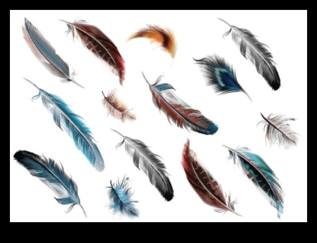 Apspalvojumu palete: putnu spalvu dinamiskas krāsas un raksti