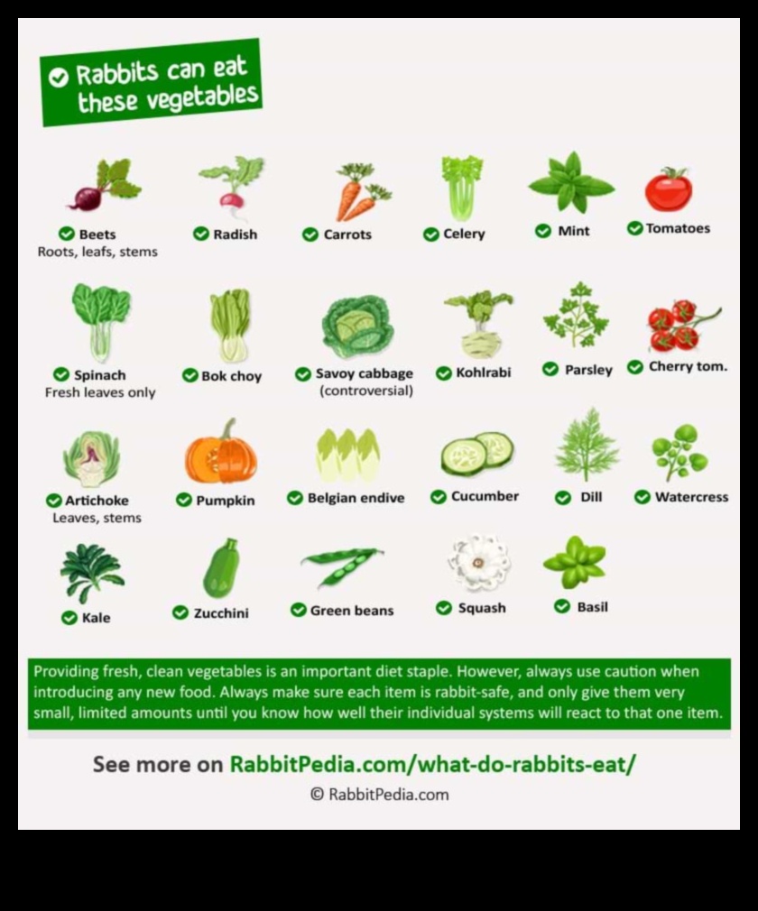 Bunny Buffet turpināja ceļvedi par labākajiem ēdamajiem augiem trušiem 3 Zaķu bufetes turpinājums: Trušu kulinārijas gardumu izpēte