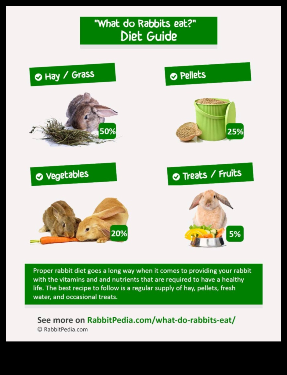 Bunny Buffet turpināja ceļvedi par labākajiem ēdamajiem augiem trušiem 4 Zaķu bufetes turpinājums: Trušu kulinārijas gardumu izpēte