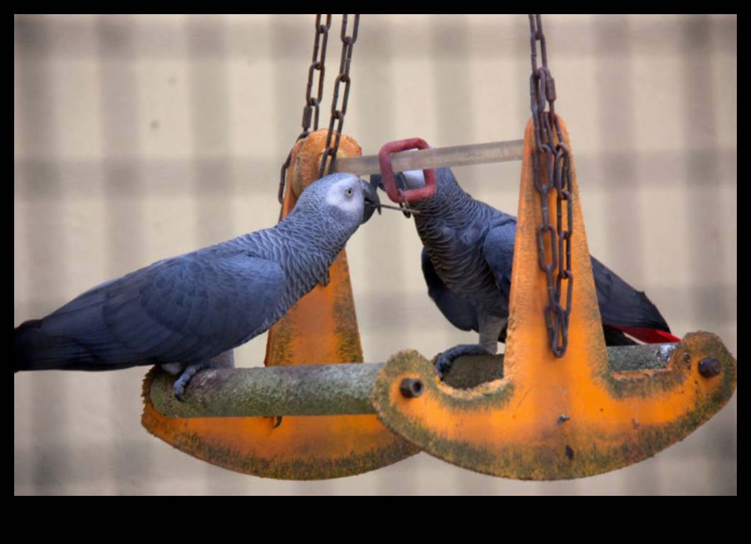 Putnu altruisma labestības akti starp putniem 2 Putnu altruisms: putnu labestības akti