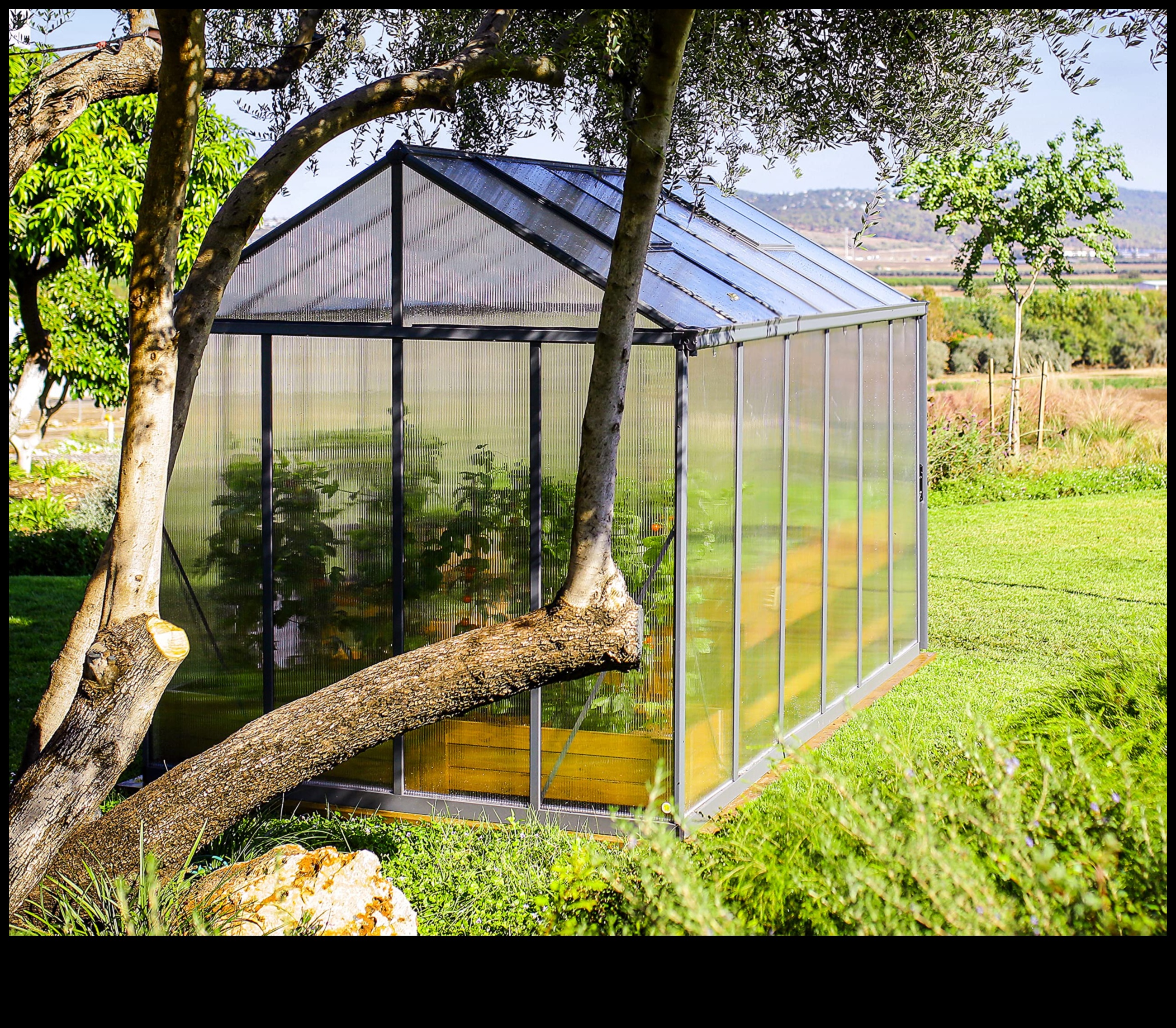 Garden Glory: siltumnīcas elegance katrā pumpiņā