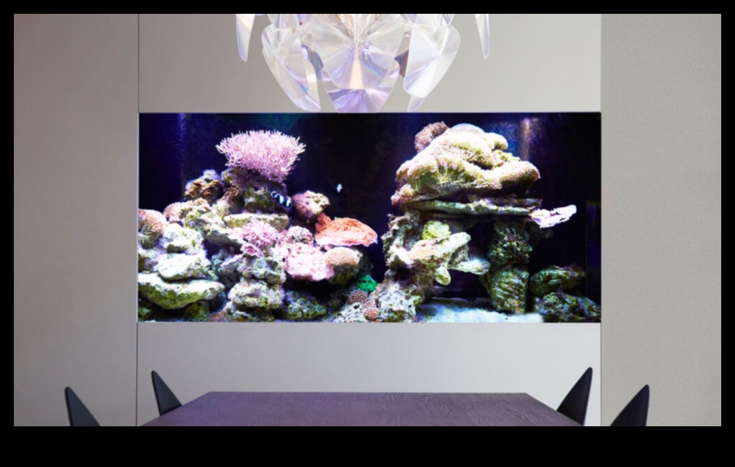 Fish Tank Artistry turpināja valdzinošas tēmas sālsūdens akvārijiem 5 Zivju tvertņu mākslas turpinājums: valdzinošas tēmas sālsūdens akvārijiem