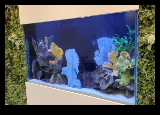 Fish Tank Artistry turpināja valdzinošas tēmas sālsūdens akvārijiem 3 Zivju tvertņu mākslas turpinājums: valdzinošas tēmas sālsūdens akvārijiem