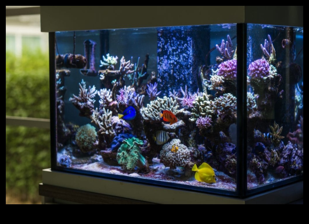 Fish Tank Artistry turpināja valdzinošas tēmas sālsūdens akvārijiem 2 Zivju tvertņu mākslas turpinājums: valdzinošas tēmas sālsūdens akvārijiem
