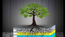 Galvenā komanda: spēcīga efektīvas svara kontroles centra izveide