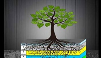 Galvenā komanda: spēcīga efektīvas svara kontroles centra izveide