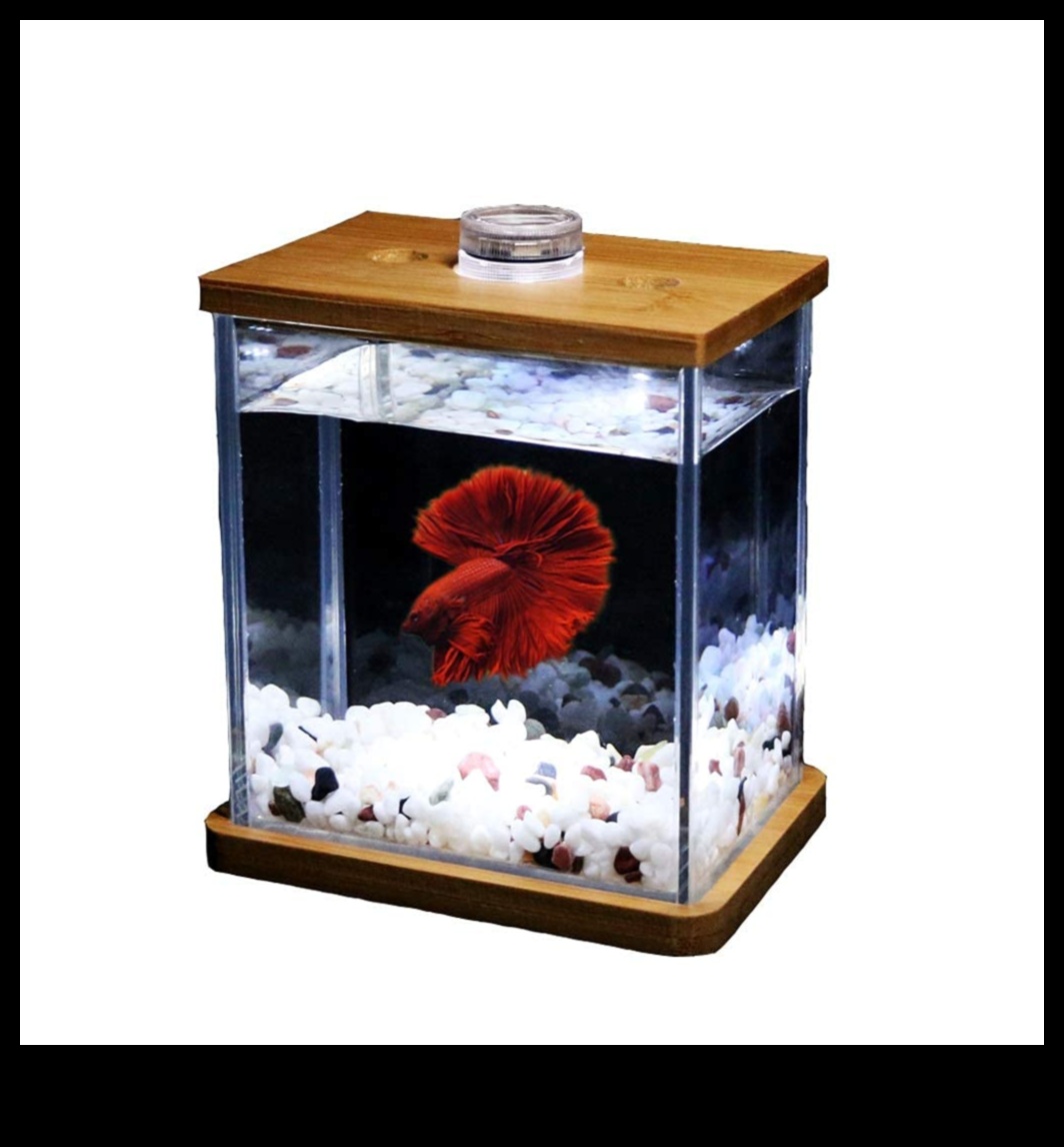 Zivju tvertņu smalkums Turpinājums: Modīga akvārija apdare