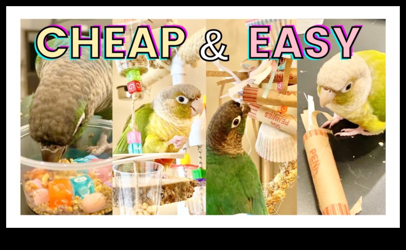 DIY putnu rotaļlietas: bagātināšanas aktivitātes jūsu spalvu draugiem