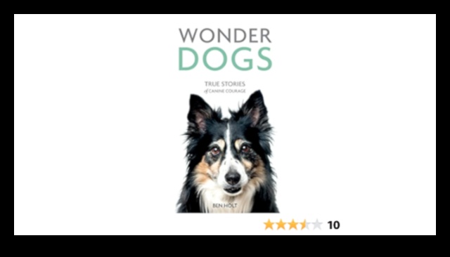 Populārākie suņu pasaku stāsti par suņu drosmi un lojalitāti 5 Populārākās suņu pasakas: stāsti par suņu drosmi un lojalitāti