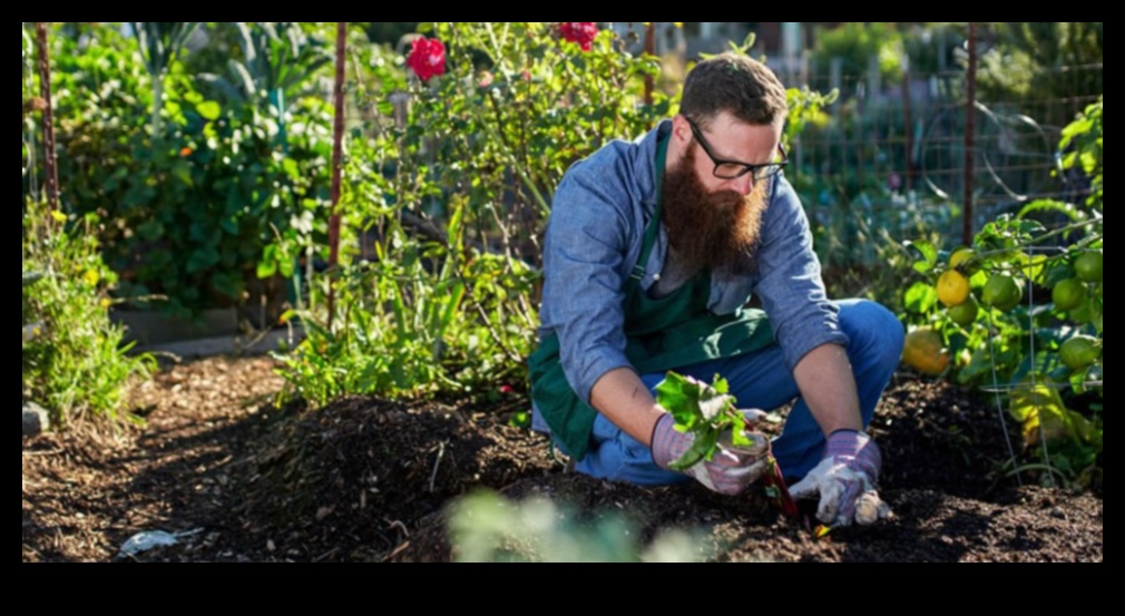 Dārza meistarība: izcils aprīkojums ziedēšanas panākumiem