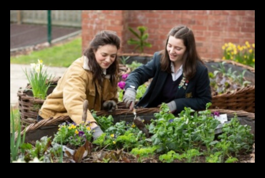 Dārza zināšanu raža: izglītības ieguvumu iegūšana