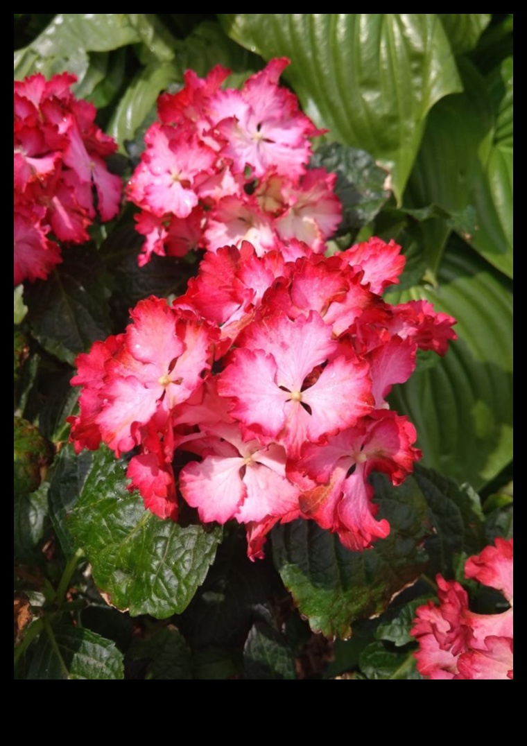 Dārza harmonija: kopjiet skaistumu ar kvalificētu aprūpi