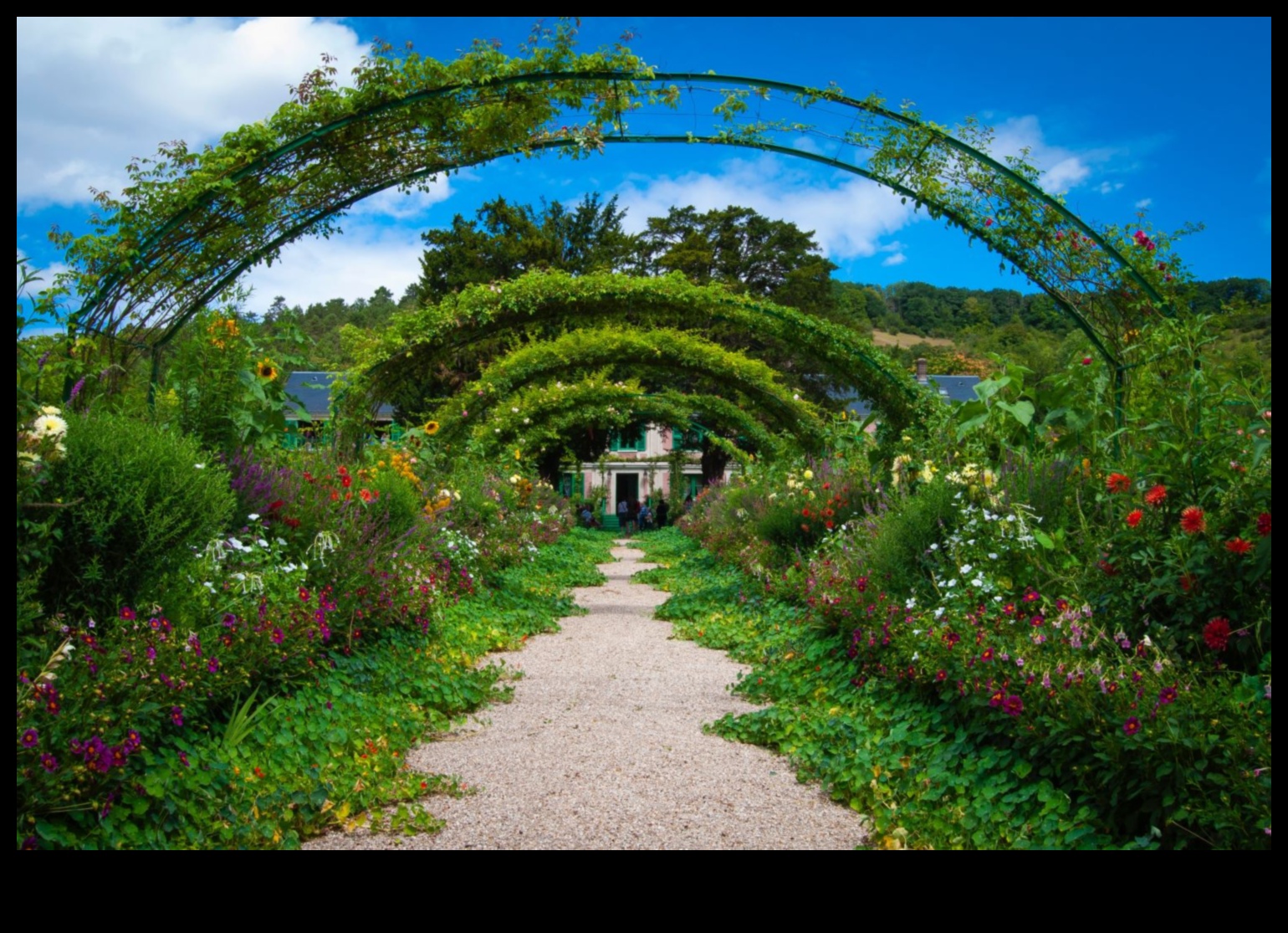 Dārza harmonija: kopjiet skaistumu ar kvalificētu aprūpi