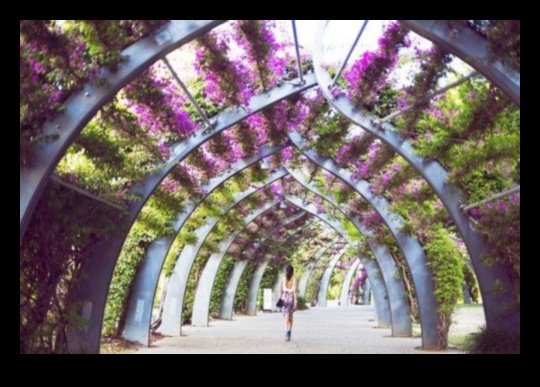 Blossom Bliss: izpētiet dārza dekoru tendenču valdzinājumu