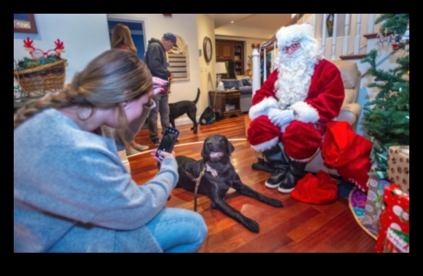 Raušanas dienas svinības: svētku idejas suņiem un viņu ģimenēm