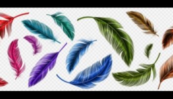 Apspalvojumu palete: putnu spalvu dinamiskas krāsas un raksti