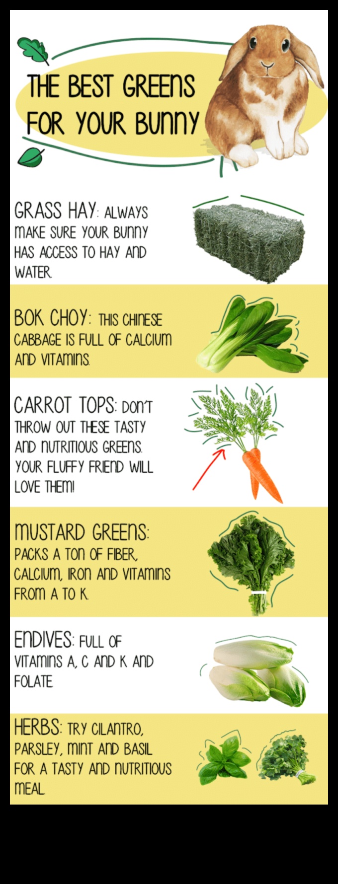 Bunny Buffet turpināja ceļvedi par labākajiem ēdamajiem augiem trušiem 1 Zaķu bufetes turpinājums: Trušu kulinārijas gardumu izpēte