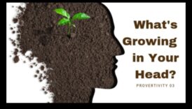 Dārza datu raža, kas uzlabo mūža izglītība mīlestību 5 Dārza zināšanu raža: izglītības ieguvumu iegūšana