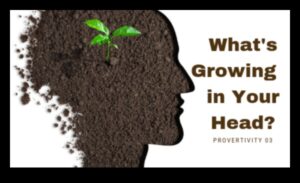 Dārza zināšanu raža: izglītības ieguvumu iegūšana