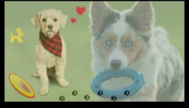 Dzīvotņu harmonija: mājdzīvnieku dabiskās uzvedības veicināšana