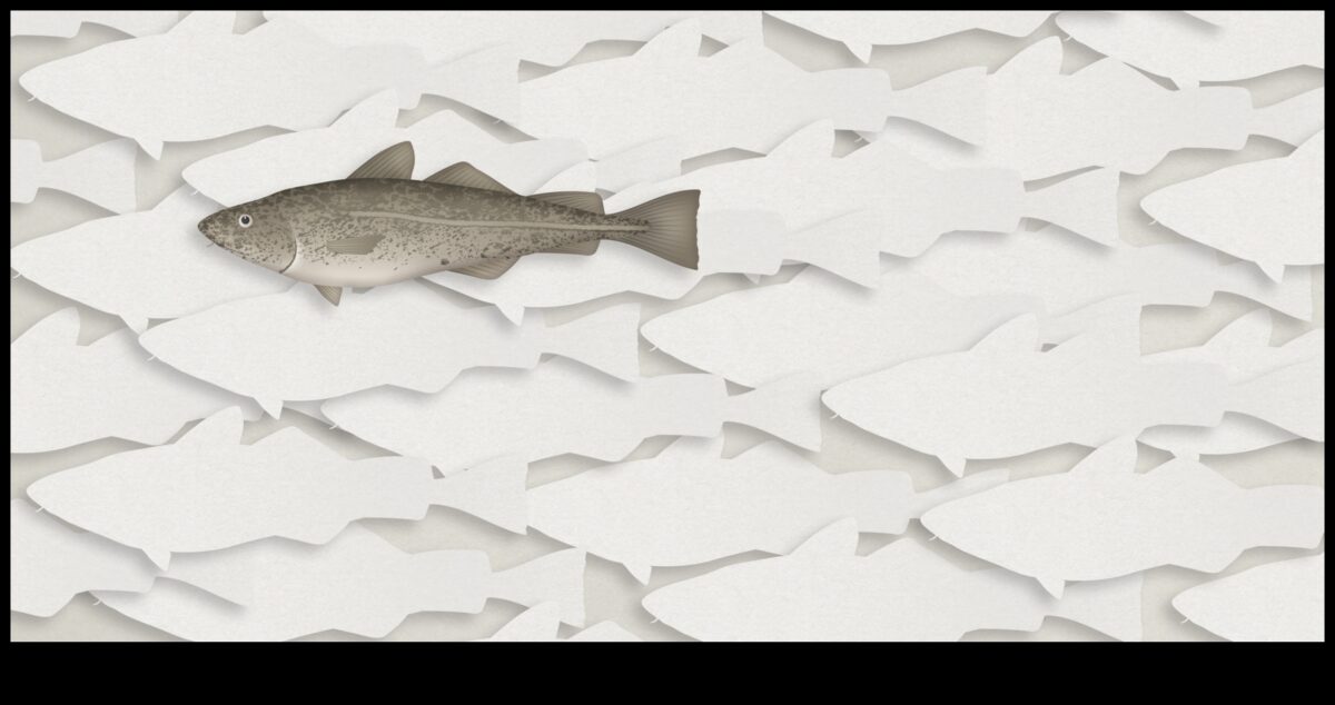 Fishonomika 101: Kā zivis palīdz ekosistēmām