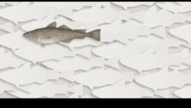 Fishonomika How Fish Contribute to Ecosystems 3 Fishonomika 101: Kā zivis palīdz ekosistēmām