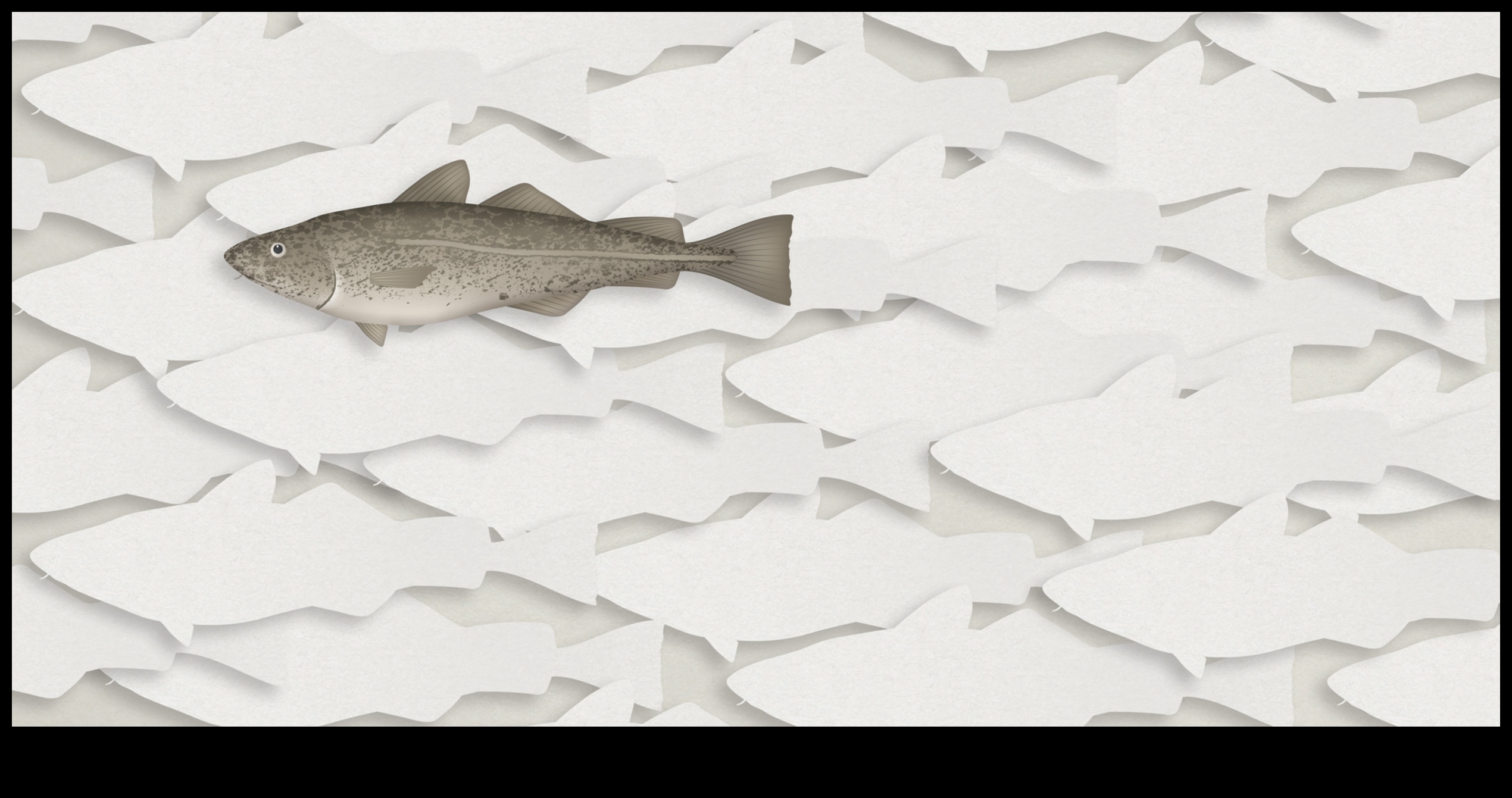 Fishonomika 101: Kā zivis palīdz ekosistēmām