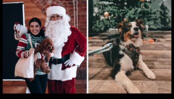 Raušanas dienas svinības: svētku idejas suņiem un viņu ģimenēm