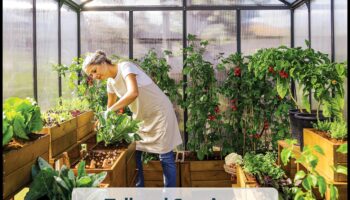 Garden Glory: siltumnīcas elegance katrā pumpiņā