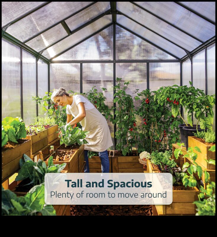 Garden Glory: siltumnīcas elegance katrā pumpiņā