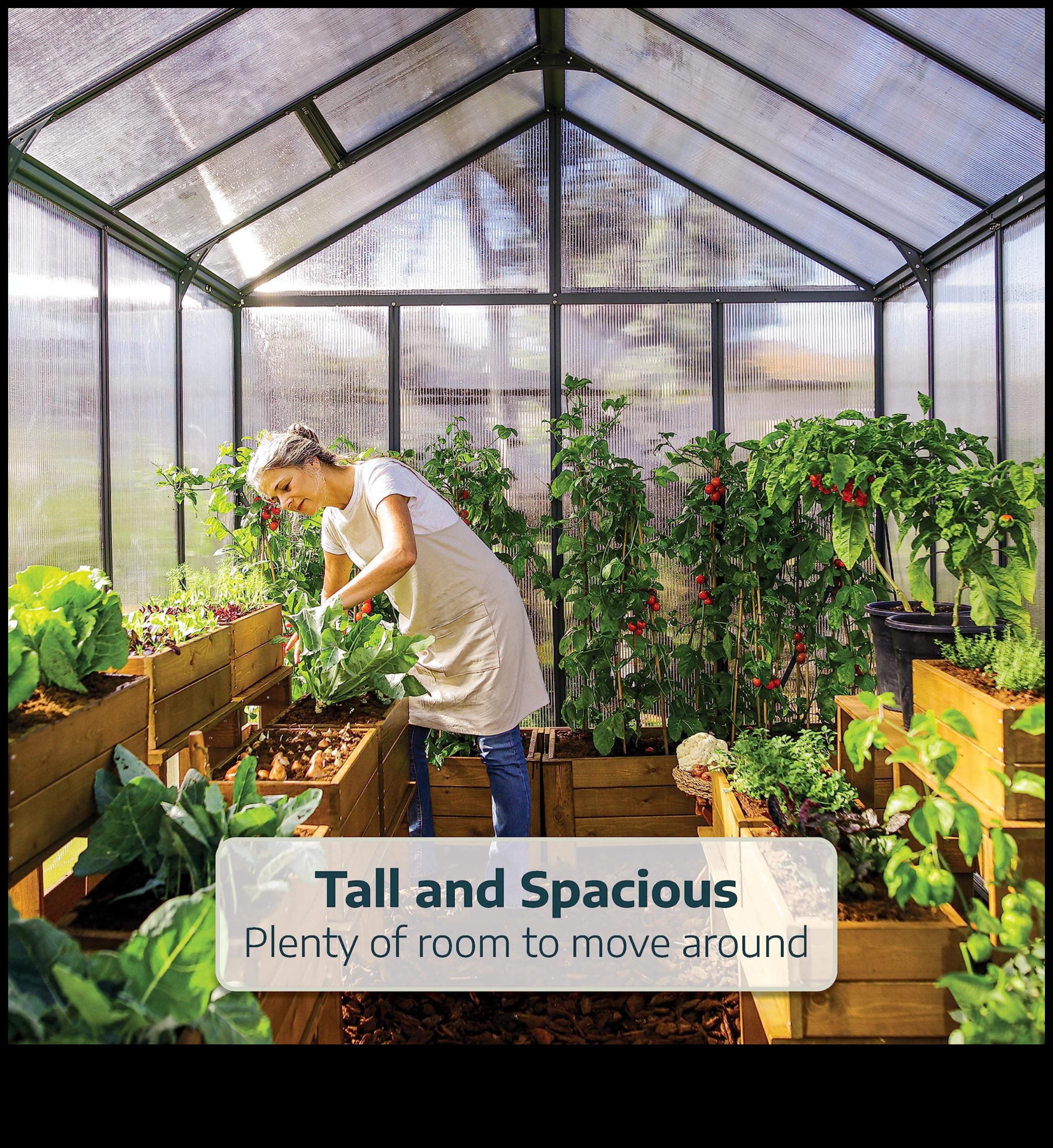 Garden Glory: siltumnīcas elegance katrā pumpiņā