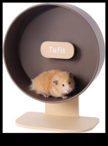 Kāmja svarīgākie darbi Turpinājums: Paplašiniet savu mazo grauzēju krāšņo skapi