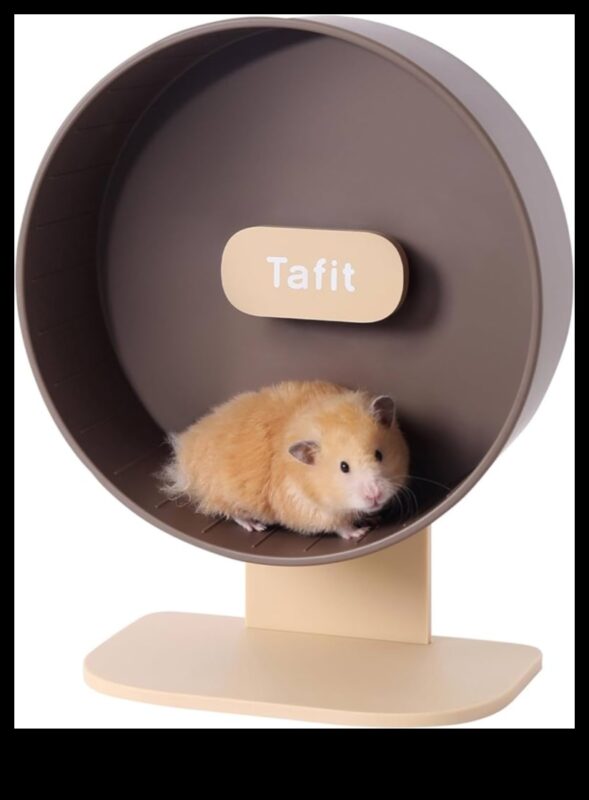 Kāmja svarīgākie darbi Turpinājums: Paplašiniet savu mazo grauzēju krāšņo skapi