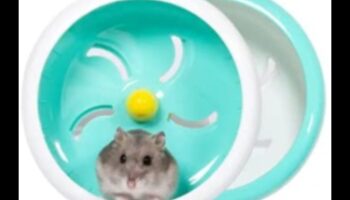 Kāmja riteņu drošība Turpinājums: vienmērīgas un klusas rotācijas nodrošināšana