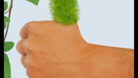 Meistarība dārzā Izaudzējiet savu zaļo īkšķi, ar mūsu izcilo aprīkojumu 1 Dārza meistarība: izcils aprīkojums ziedēšanas panākumiem