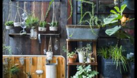 Celies un spīd: vertikālās dārzkopības padomi satriecošajiem augstumiem