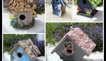 Bērnu spalvu draugi: putnu mājiņu un putnu barotavu veidošana
