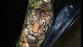 Savvaļas tinte: izpētiet dzīvnieku tetovējumu džungļus