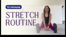 Stiepšanās simfonija: kustību harmonizēšana elastībai pēc treniņa