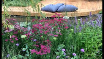 Ziedēšana un svētlaime: kotedžas dārza dizaina dzeja