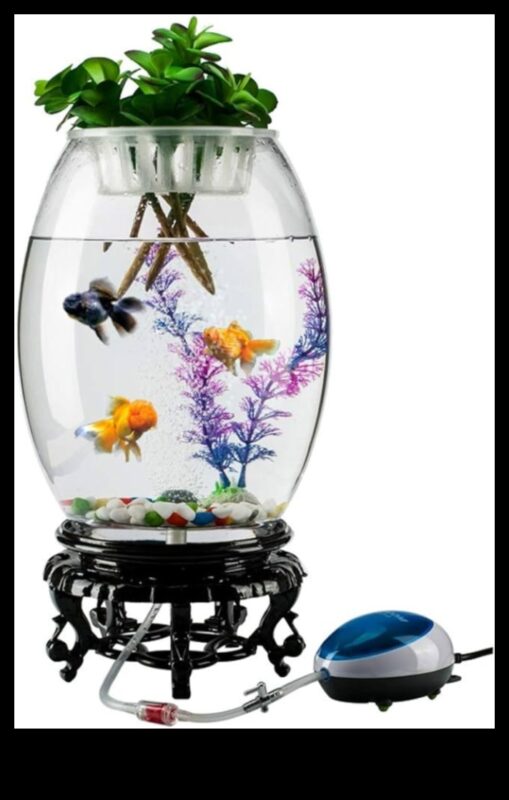 Zivju tvertņu smalkums Turpinājums: Modīga akvārija apdare